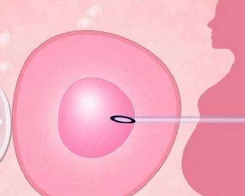 广州借卵试管的流程 广州三代试管的缺点 ‘胎儿b超报告看男女’