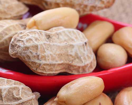 广州供卵包成功,广州三代试管包成功生男孩总费用多少？_包头狗粮