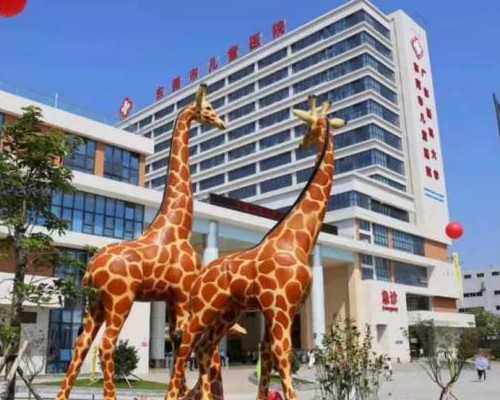 广州代孕机构包成功,广州嘉禧国际供卵女孩,供卵广州嘉禧