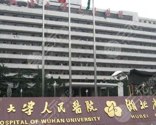 广州供卵试管婴儿医院,广州供卵试管包生男孩的助孕费用-三圣母